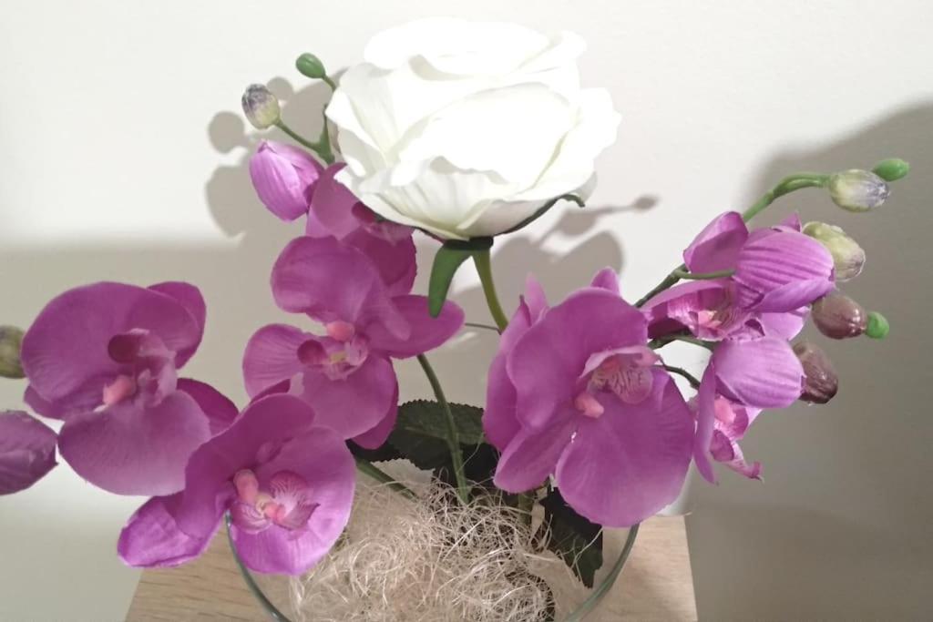 Theano'S Cozy & Quiet Lux Central Flat - Wifi & Full Amenities 파트라 외부 사진